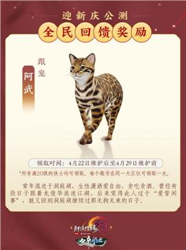 天龙八部私服名字错位